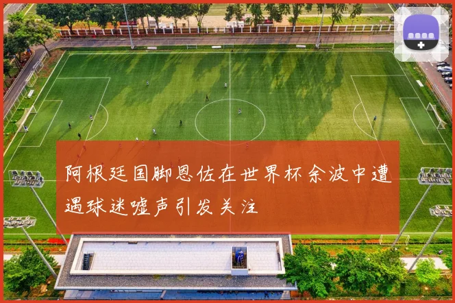 阿根廷国脚恩佐在世界杯余波中遭遇球迷嘘声引发关注